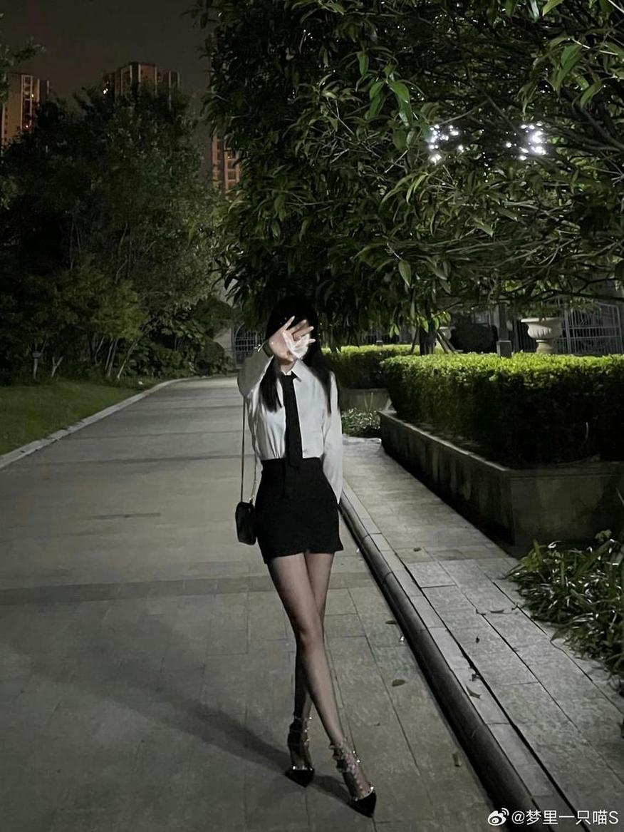 梦里一只喵定制，摄影照片合集