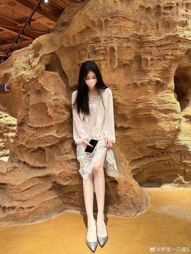 梦里一只喵会员图原图珍藏，一网打尽