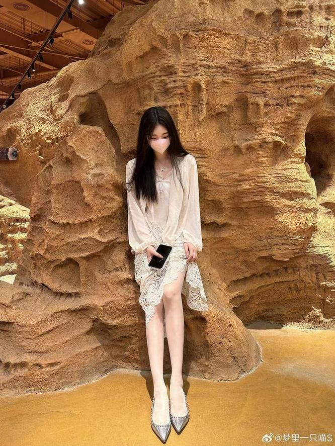 每个图库必备的梦里一只喵照片合集来啦